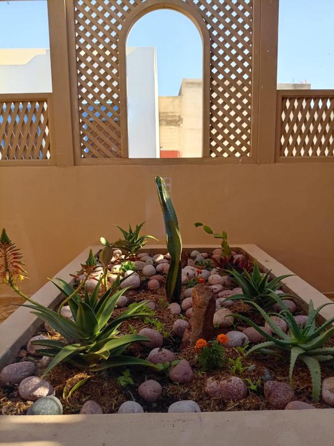 Apartamento Dar Diafa Samira Mirleft Exterior foto